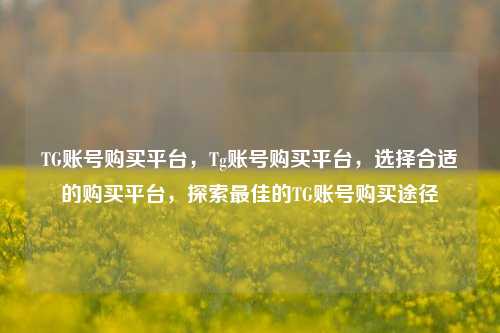 TG账号购买平台，Tg账号购买平台，选择合适的购买平台，探索最佳的TG账号购买途径