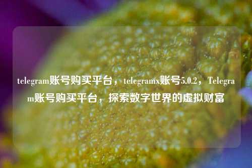telegram账号购买平台，telegramx账号5.0.2，Telegram账号购买平台，探索数字世界的虚拟财富