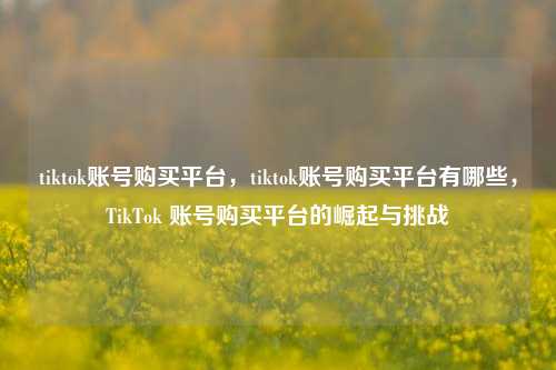 tiktok账号购买平台，tiktok账号购买平台有哪些，TikTok 账号购买平台的崛起与挑战