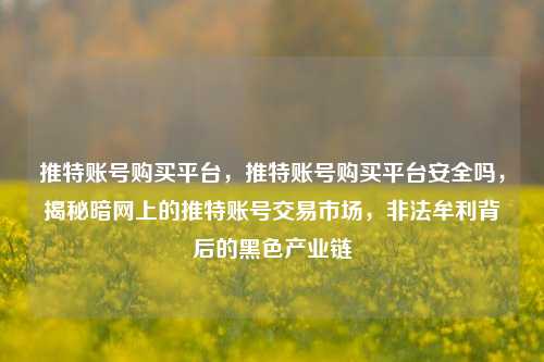 推特账号购买平台，推特账号购买平台安全吗，揭秘暗网上的推特账号交易市场，非法牟利背后的黑色产业链