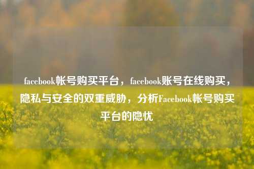 facebook帐号购买平台，facebook账号在线购买，隐私与安全的双重威胁，分析Facebook帐号购买平台的隐忧