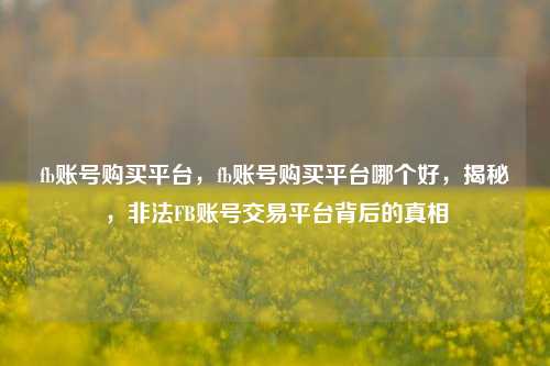 fb账号购买平台，fb账号购买平台哪个好，揭秘，非法FB账号交易平台背后的真相