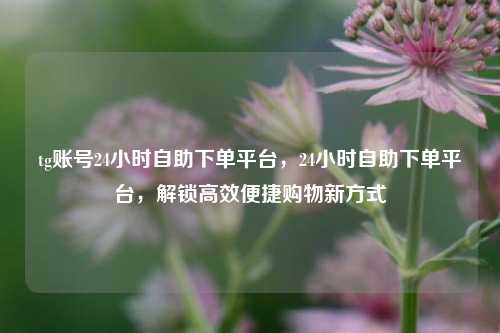 tg账号24小时自助下单平台，24小时自助下单平台，解锁高效便捷购物新方式