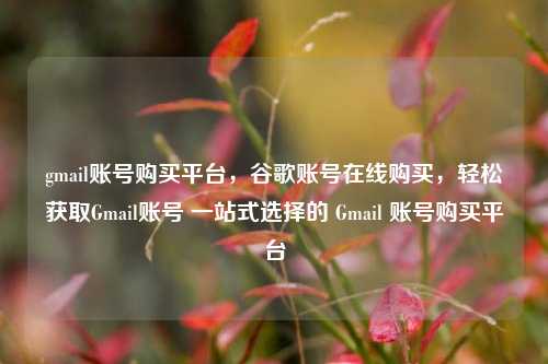 gmail账号购买平台，谷歌账号在线购买，轻松获取Gmail账号 一站式选择的 Gmail 账号购买平台