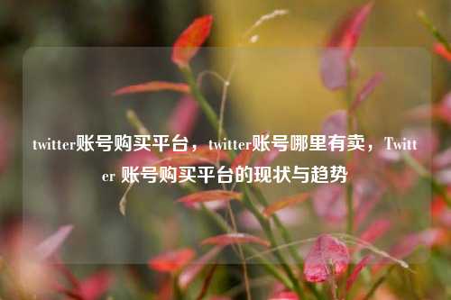 twitter账号购买平台，twitter账号哪里有卖，Twitter 账号购买平台的现状与趋势