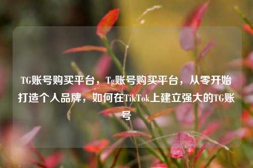 TG账号购买平台，Tg账号购买平台，从零开始打造个人品牌，如何在TikTok上建立强大的TG账号