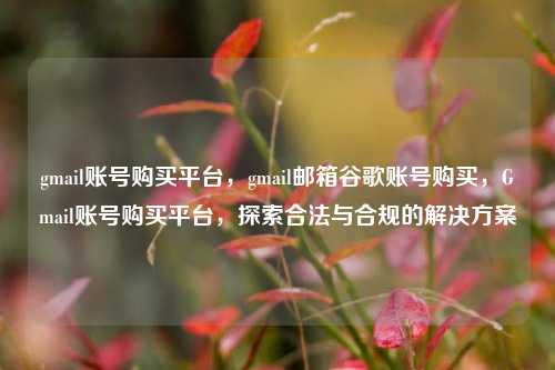 gmail账号购买平台，gmail邮箱谷歌账号购买，Gmail账号购买平台，探索合法与合规的解决方案