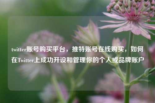 twitter账号购买平台，推特账号在线购买，如何在Twitter上成功开设和管理你的个人或品牌账户