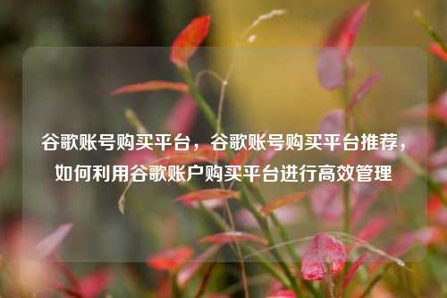 谷歌账号购买平台，谷歌账号购买平台推荐	，如何利用谷歌账户购买平台进行高效管理  第1张