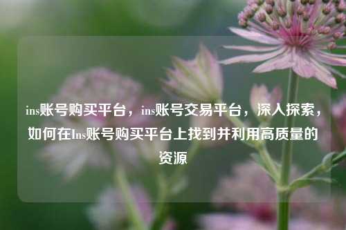 ins账号购买平台，ins账号交易平台	，深入探索，如何在Ins账号购买平台上找到并利用高质量的资源  第1张