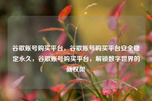 谷歌账号购买平台，谷歌账号购买平台安全稳定永久，谷歌账号购买平台，解锁数字世界的新权限