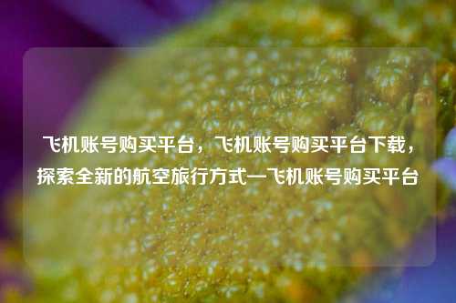 飞机账号购买平台，飞机账号购买平台下载，探索全新的航空旅行方式—飞机账号购买平台