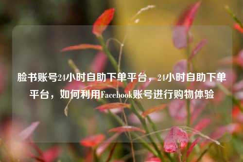 脸书账号24小时自助下单平台，24小时自助下单平台，如何利用Facebook账号进行购物体验
