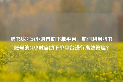 脸书账号24小时自助下单平台，如何利用脸书账号的24小时自助下单平台进行高效管理？