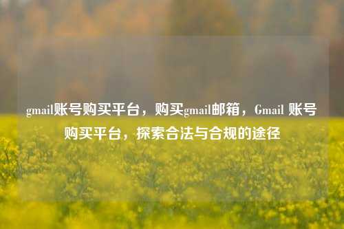 gmail账号购买平台，购买gmail邮箱，Gmail 账号购买平台，探索合法与合规的途径