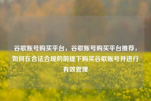 谷歌账号购买平台，谷歌账号购买平台推荐，如何在合法合规的前提下购买谷歌账号并进行有效管理