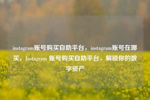instagram账号购买自助平台，instagram账号在哪买，Instagram 账号购买自助平台，解锁你的数字资产