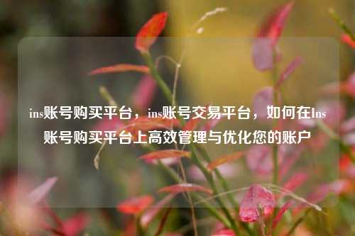 ins账号购买平台，ins账号交易平台，如何在Ins账号购买平台上高效管理与优化您的账户
