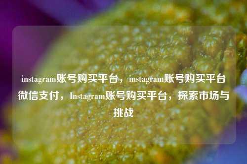 instagram账号购买平台，instagram账号购买平台微信支付，Instagram账号购买平台，探索市场与挑战