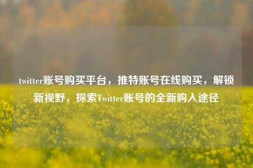 twitter账号购买平台，推特账号在线购买，解锁新视野，探索Twitter账号的全新购入途径