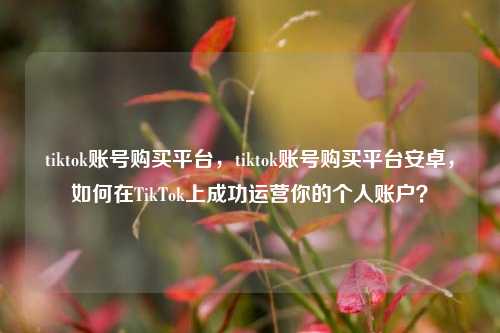 tiktok账号购买平台，tiktok账号购买平台安卓，如何在TikTok上成功运营你的个人账户？