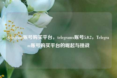 telegram账号购买平台，telegramx账号5.0.2，Telegram账号购买平台的崛起与挑战