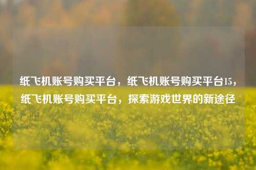 纸飞机账号购买平台，纸飞机账号购买平台15，纸飞机账号购买平台，探索游戏世界的新途径