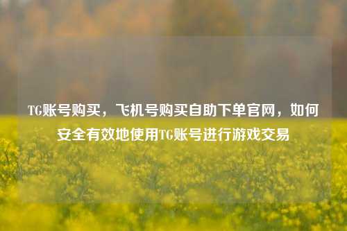 TG账号购买，飞机号购买自助下单官网，如何安全有效地使用TG账号进行游戏交易