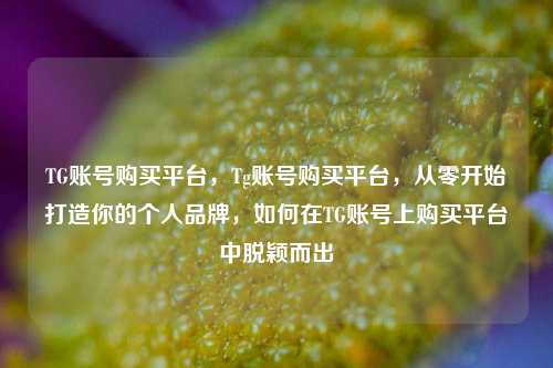 TG账号购买平台，Tg账号购买平台，从零开始打造你的个人品牌，如何在TG账号上购买平台中脱颖而出
