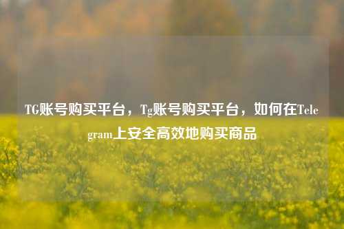 TG账号购买平台，Tg账号购买平台，如何在Telegram上安全高效地购买商品