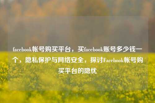 facebook帐号购买平台，买facebook账号多少钱一个，隐私保护与网络安全，探讨Facebook帐号购买平台的隐忧
