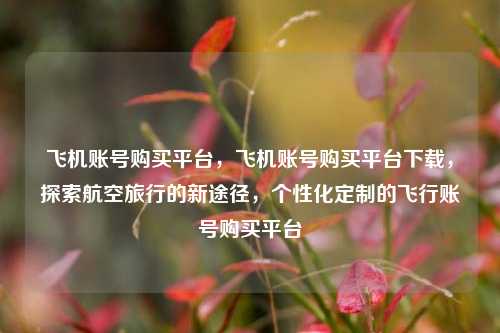 飞机账号购买平台，飞机账号购买平台下载，探索航空旅行的新途径，个性化定制的飞行账号购买平台