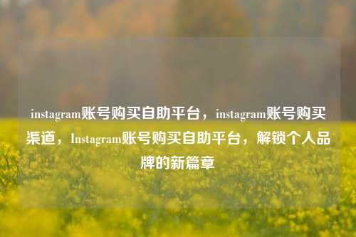 instagram账号购买自助平台，instagram账号购买渠道，Instagram账号购买自助平台，解锁个人品牌的新篇章