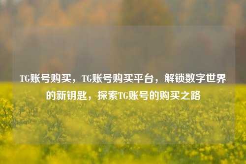 TG账号购买，TG账号购买平台，解锁数字世界的新钥匙，探索TG账号的购买之路