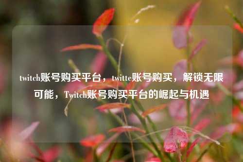 twitch账号购买平台，twitte账号购买，解锁无限可能，Twitch账号购买平台的崛起与机遇