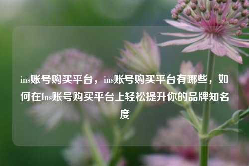 ins账号购买平台，ins账号购买平台有哪些，如何在Ins账号购买平台上轻松提升你的品牌知名度