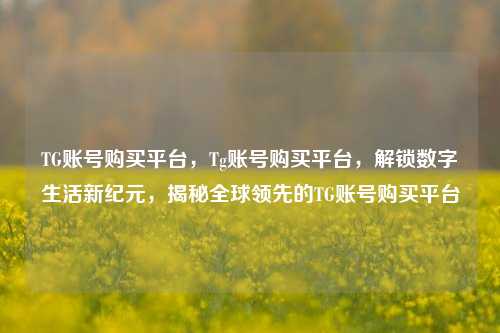TG账号购买平台，Tg账号购买平台，解锁数字生活新纪元，揭秘全球领先的TG账号购买平台