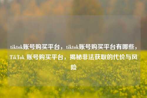 tiktok账号购买平台，tiktok账号购买平台有哪些，TikTok 账号购买平台，揭秘非法获取的代价与风险