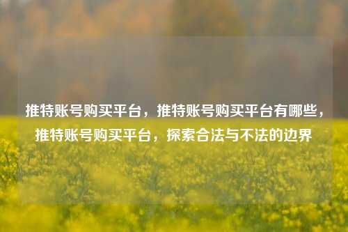 推特账号购买平台，推特账号购买平台有哪些，推特账号购买平台，探索合法与不法的边界