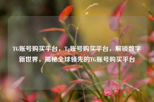 TG账号购买平台，Tg账号购买平台，解锁数字新世界，揭秘全球领先的TG账号购买平台