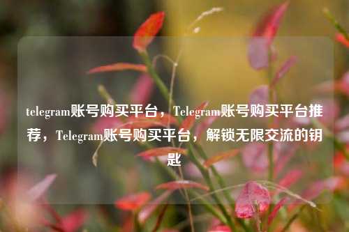 telegram账号购买平台，Telegram账号购买平台推荐，Telegram账号购买平台，解锁无限交流的钥匙