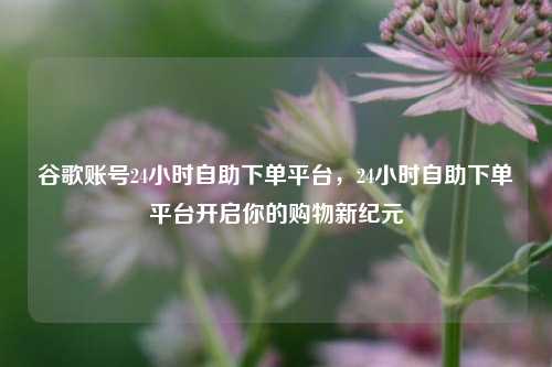 谷歌账号24小时自助下单平台，24小时自助下单平台开启你的购物新纪元  第1张