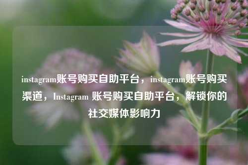 instagram账号购买自助平台，instagram账号购买渠道，Instagram 账号购买自助平台，解锁你的社交媒体影响力