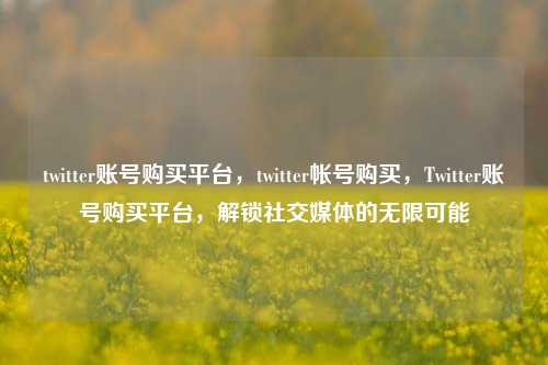twitter账号购买平台，twitter帐号购买，Twitter账号购买平台，解锁社交媒体的无限可能