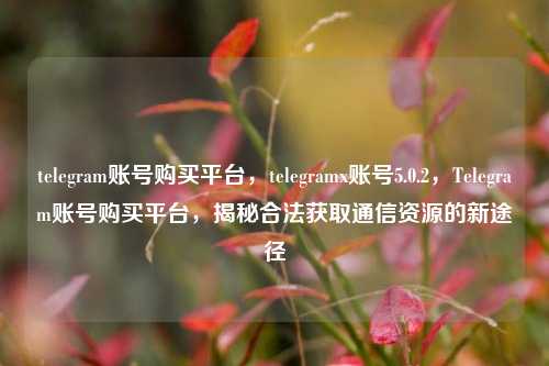 telegram账号购买平台，telegramx账号5.0.2，Telegram账号购买平台，揭秘合法获取通信资源的新途径