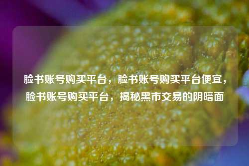 脸书账号购买平台	，脸书账号购买平台便宜，脸书账号购买平台，揭秘黑市交易的阴暗面  第1张
