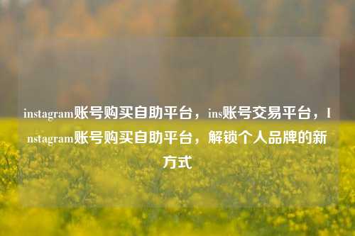 instagram账号购买自助平台，ins账号交易平台，Instagram账号购买自助平台，解锁个人品牌的新方式