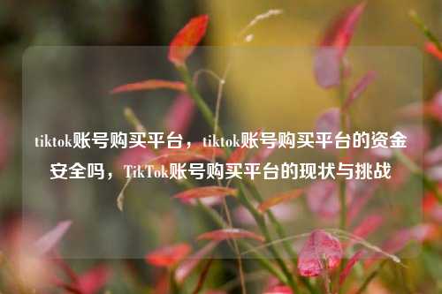 tiktok账号购买平台，tiktok账号购买平台的资金安全吗，TikTok账号购买平台的现状与挑战