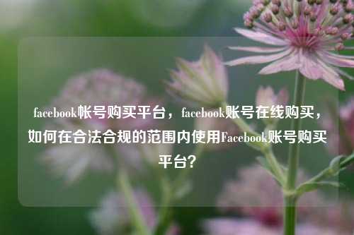 facebook帐号购买平台，facebook账号在线购买，如何在合法合规的范围内使用Facebook账号购买平台？
