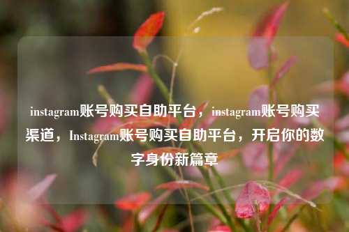 instagram账号购买自助平台，instagram账号购买渠道，Instagram账号购买自助平台，开启你的数字身份新篇章